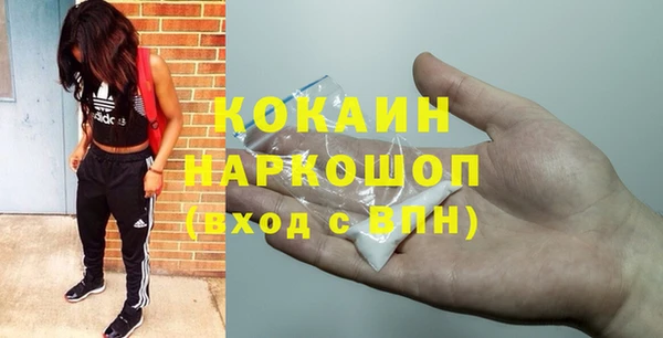 дурь Гусиноозёрск