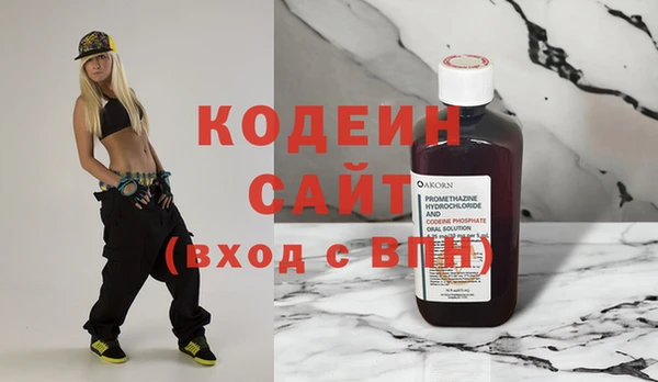 дурь Гусиноозёрск