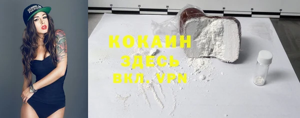 дурь Гусиноозёрск