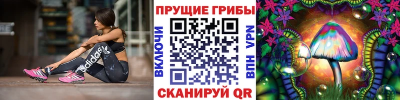Псилоцибиновые грибы ЛСД  Донской 