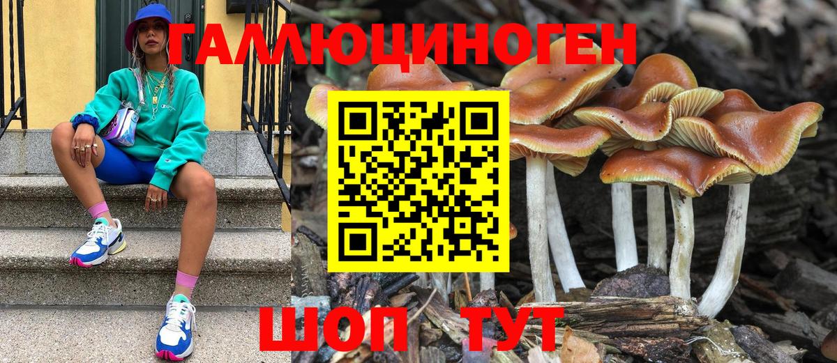 Галлюциногенные грибы MAGIC MUSHROOMS  Галлюциногенные грибы мухоморы  что такое наркотик  Донской 