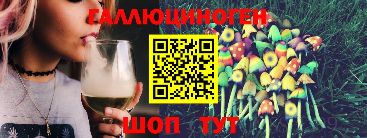 Псилоцибиновые грибы Psilocybe Донской